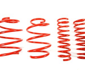 BMW E38 MTS Technik Performance Springs