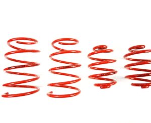 BMW E36 MTS Technik Performance Springs