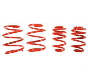 BMW E46 MTS Technik Performance Springs