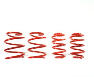 BMW E46 MTS Technik Performance Springs