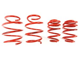 BMW E46 MTS Technik Performance Springs