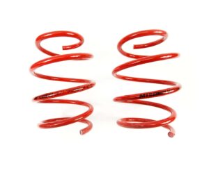 BMW E46 MTS Technik Front Sport Springs