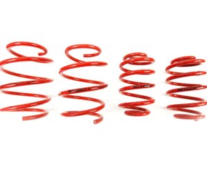 BMW E46 MTS Technik Performance Springs