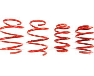 BMW E46 MTS Technik Performance Springs