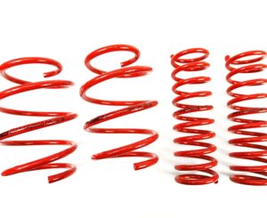 BMW E39 MTS Technik Performance Springs
