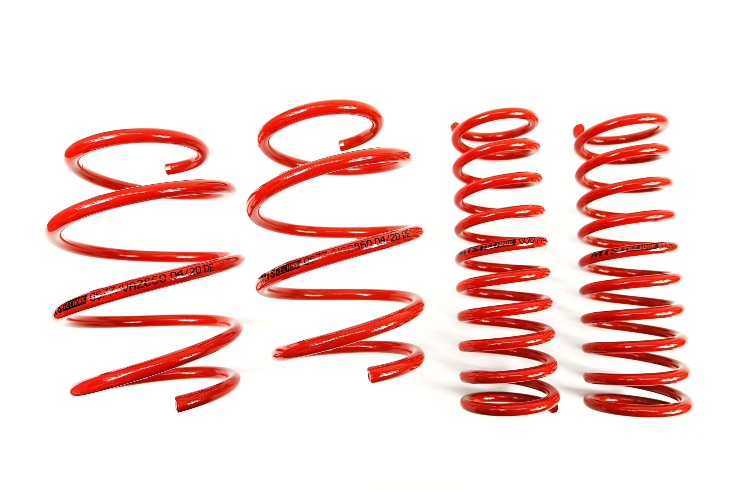 BMW E39 MTS Technik Performance Springs